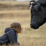 Llamamiento urgente para salvar del fuego a 200 animales explotados, salvados y ahora acosados por las llamas
