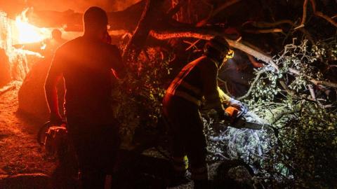 El incendio de Ávila ya es el más devastador de la historia de España: 50.000 hectáreas arrasadas
