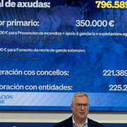 El presidente del PP de Ourense admite que "puede haber cuestiones políticas" en la marcha de todos los concejales de Verín