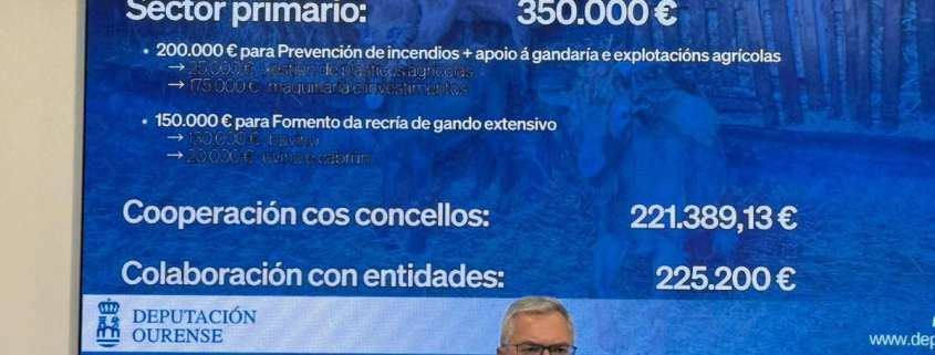 El presidente del PP de Ourense admite que "puede haber cuestiones políticas" en la marcha de todos los concejales de Verín