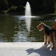 El calor no da tregua y deja 40 grados en Madrid este miércoles con aviso amarillo incluido El calor no da tregua y deja 40 grados en Madrid este miércoles con aviso amarillo incluido