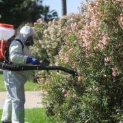 El virus del Nilo sigue al alza en Andalucía y ya son 26 los casos detectados, todos en la provincia de Sevilla El virus del Nilo sigue al alza en Andalucía y ya son 26 los casos detectados, todos en la provincia de Sevilla