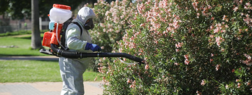 El virus del Nilo sigue al alza en Andalucía y ya son 26 los casos detectados, todos en la provincia de Sevilla