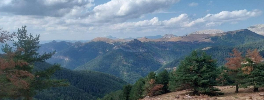 Estabilizado el incendio forestal en la zona de Urzainki