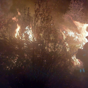 La UME y más de 200 efectivos combaten el incendio en Las Hurdes tras la evacuación de 700 vecinos La UME y más de 200 efectivos combaten el incendio en Las Hurdes tras la evacuación de 700 vecinos