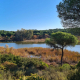 El humedal de Huelva donde las mareas dan vida a uno de los grandes refugios de aves del litoral andaluz