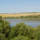 El humedal de Cádiz donde tres lagunas desaparecen cada verano y mantienen uno de los refugios de aves más importantes del sur de España