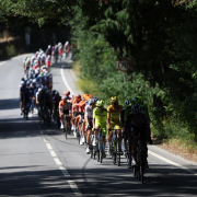 Muere el ciclista Finlay Tarling a los 19 años tras ser atropellado en plena Vuelta a Portugal Muere el ciclista Finlay Tarling a los 19 años tras ser atropellado en plena Vuelta a Portugal