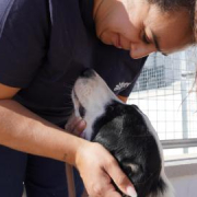 Emperrados pone rostro a las historias que deja el abandono y a los perros que continúan esperando un nuevo hogar