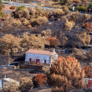 El Gobierno declara zona gravemente afectada el territorio dañado por el incendio de Huelva El Gobierno declara zona gravemente afectada el territorio dañado por el incendio de Huelva