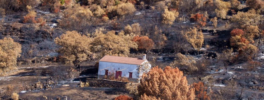 El Gobierno declara zona gravemente afectada el territorio dañado por el incendio de Huelva