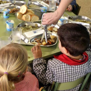 Pesticidas en los menús escolares: la mayoría de comunidades no exige la producción ecológica de frutas y hortalizas Pesticidas en los menús escolares: la mayoría de comunidades no exige la producción ecológica de frutas y hortalizas