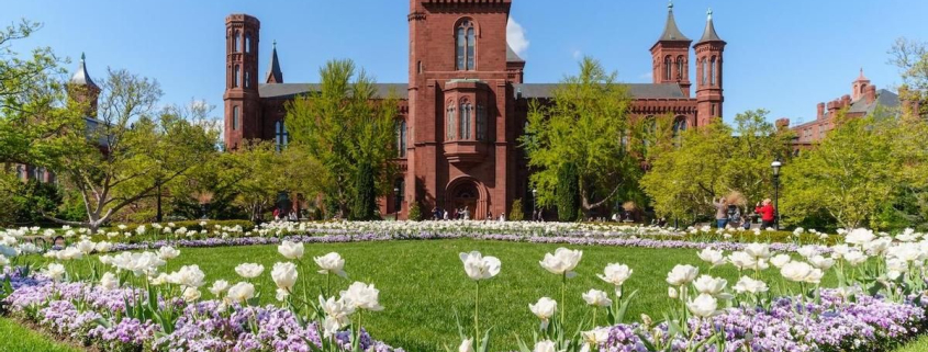 La cruzada censora de Trump se cobra la cabeza del director de la prestigiosa Smithsonian Institution