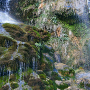 Escondida entre acebos y pinos, la cascada de esta sierra es de gran valor ecológico y en ocasiones genera estalactitas Escondida entre acebos y pinos, la cascada de esta sierra es de gran valor ecológico y en ocasiones genera estalactitas