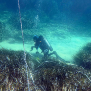 La alerta climática oculta bajo el agua: el óxido nitroso alcanza su máximo en un Mar Balear al límite de su calentamiento La alerta climática oculta bajo el agua: el óxido nitroso alcanza su máximo en un Mar Balear al límite de su calentamiento