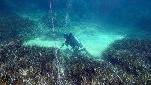 La alerta climática oculta bajo el agua: el óxido nitroso alcanza su máximo en un Mar Balear al límite de su calentamiento