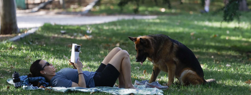 La Comunidad de Madrid arranca la semana con máximas por encima de los 32 grados