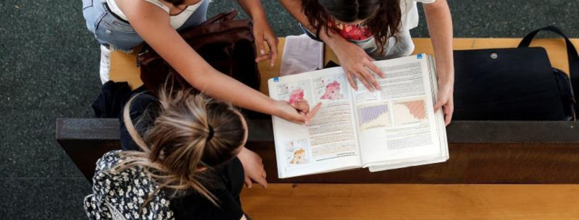 Pisa, de los datos a las interpretaciones