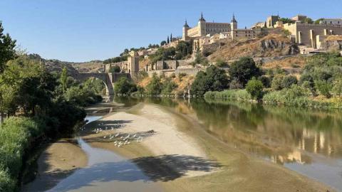 El Tajo que López Miras quiere seguir trasvasando: casi seco en verano y con niveles disparados de bacterias fecales