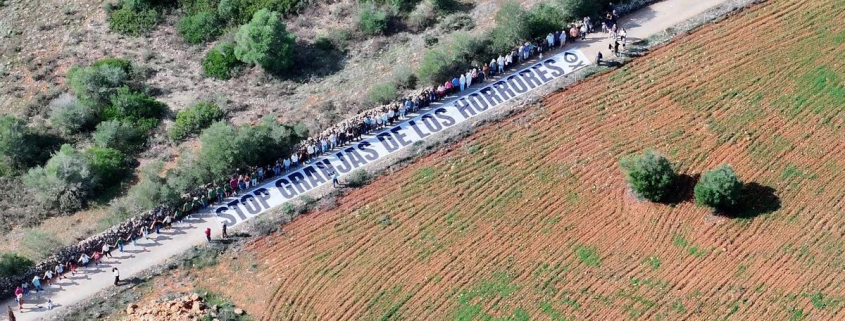 Decenas de vecinos hacen una cadena humana contra una nueva granja avícola de una polémica empresa de Mallorca