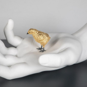 Arte parece, gallina es