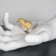 Arte parece, gallina es