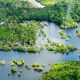 La Amazonia, bajo el asedio de las mafias: los pueblos indígenas llevan a la ONU el negocio criminal que destruye la selva
