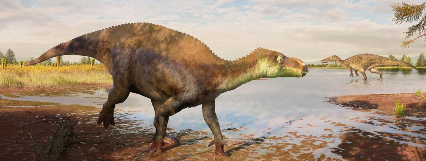 Unos fósiles encontrados en una fábrica de ladrillos revelan una especie de dinosaurio desconocida hasta ahora