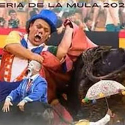 Un pueblo de Málaga celebra un show taurino de personas con enanismo: “Si fuera otra discapacidad, ¿se atreverían?” Un pueblo de Málaga celebra un show taurino de personas con enanismo: “Si fuera otra discapacidad, ¿se atreverían?”