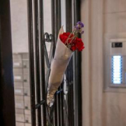 No son muertes, son asesinatos No son muertes, son asesinatos